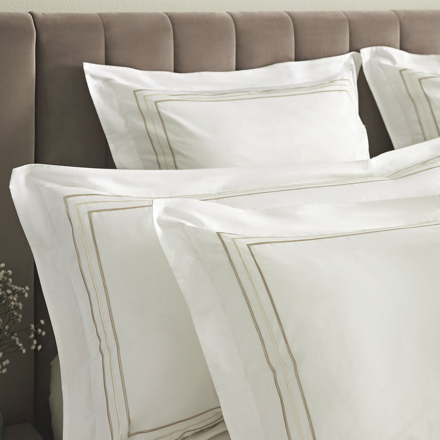 Belvedere Champagne Gold Cord Embroidered 300 Thread Count Cotton Percale Continental Square Pillowcases - Pair